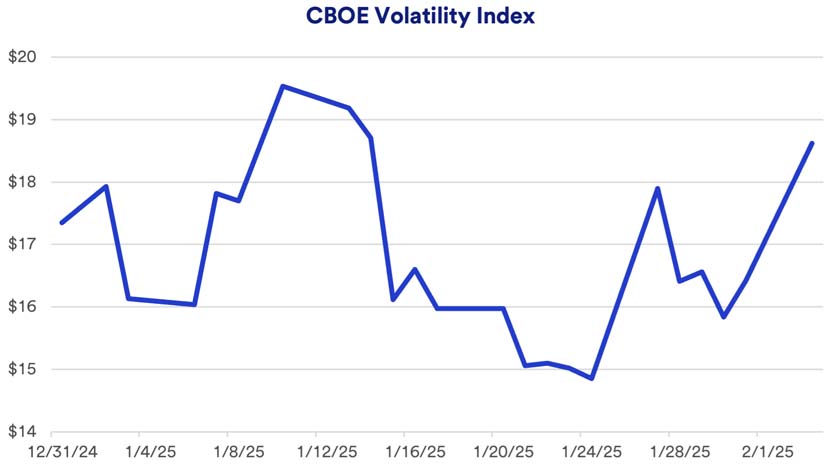 Chart depicts the volatility index, or VIX, for 12/31/2024 - 2/1/2025.