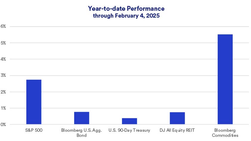 Year-to-date performance of major asset classes (as of February 4, 2025).