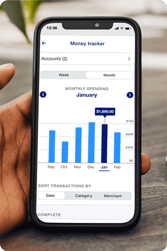 Monthly spending chart on the U.S. Bank Mobile App.